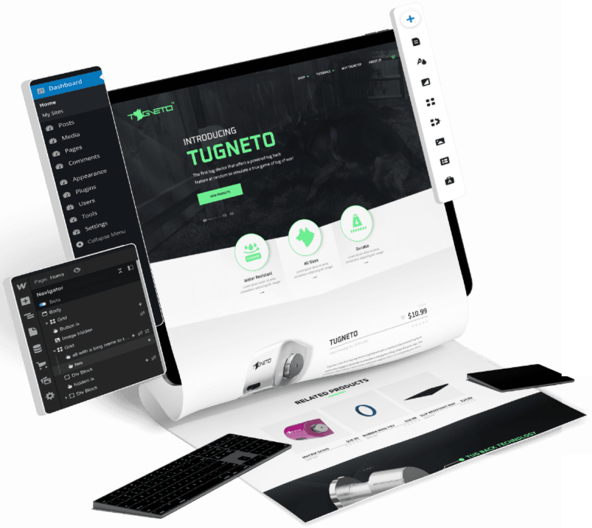 Shopify Store Development